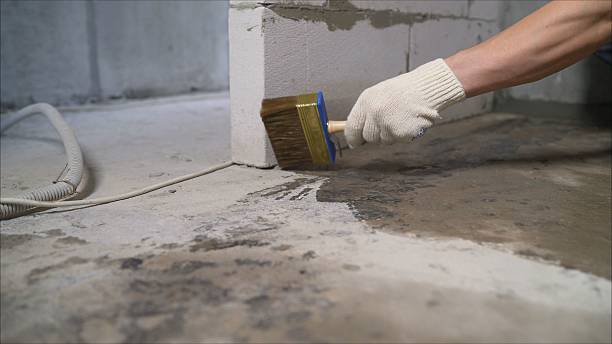 SJ Waterproofing Pros Waterproofing coverage map for Carey, OH and surrounding area